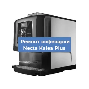 Ремонт заварочного блока на кофемашине Necta Kalea Plus в Белгороде